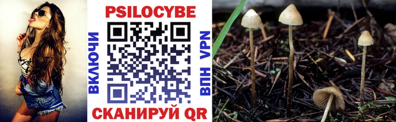 Псилоцибиновые грибы прущие грибы  Оленегорск 